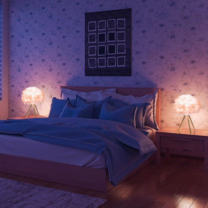 LAMPE DE PLULME